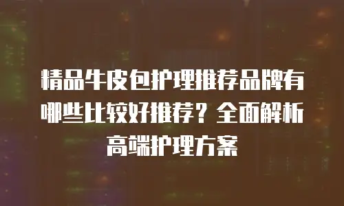 精品牛皮包护理推荐品牌有哪些比较好推荐？全面解析高端护理方案