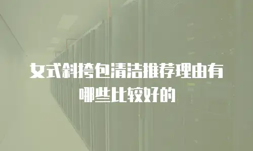 女式斜挎包清洁推荐理由有哪些比较好的