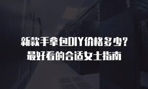 新款手拿包DIY价格多少？最好看的合适女士指南