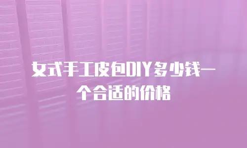 女式手工皮包DIY多少钱一个合适的价格