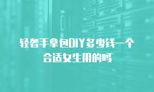 轻奢手拿包DIY多少钱一个合适女生用的吗