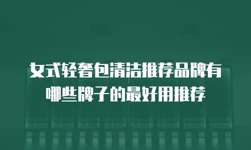 女式轻奢包清洁推荐品牌有哪些牌子的最好用推荐