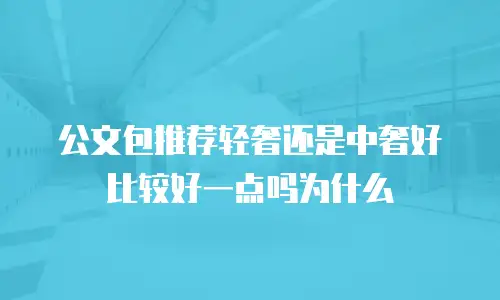 公文包推荐轻奢还是中奢好比较好一点吗为什么
