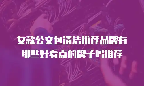 女款公文包清洁推荐品牌有哪些好看点的牌子吗推荐