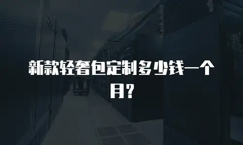 新款轻奢包定制多少钱一个月？