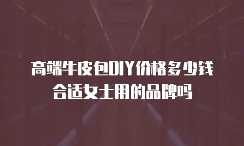 高端牛皮包DIY价格多少钱合适女士用的品牌吗