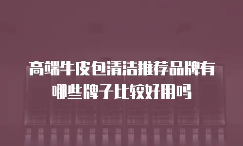 高端牛皮包清洁推荐品牌有哪些牌子比较好用吗