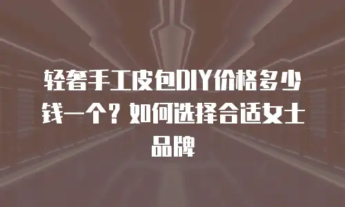 轻奢手工皮包DIY价格多少钱一个？如何选择合适女士品牌