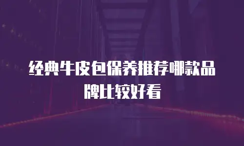 经典牛皮包保养推荐哪款品牌比较好看