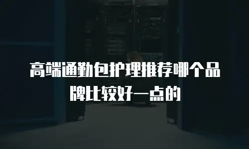 高端通勤包护理推荐哪个品牌比较好一点的