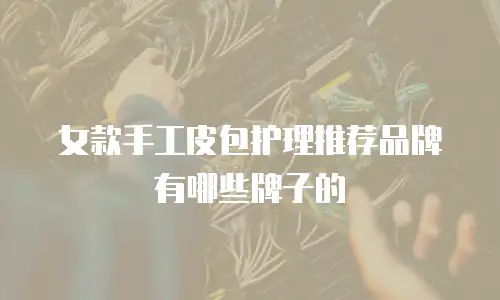 女款手工皮包护理推荐品牌有哪些牌子的