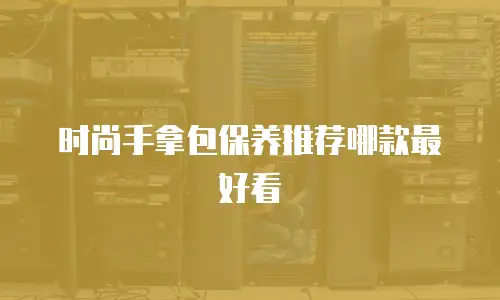 时尚手拿包保养推荐哪款最好看