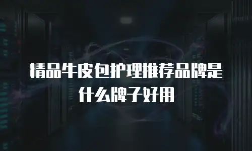 精品牛皮包护理推荐品牌是什么牌子好用