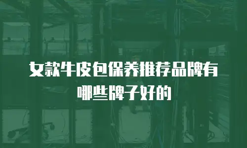 女款牛皮包保养推荐品牌有哪些牌子好的