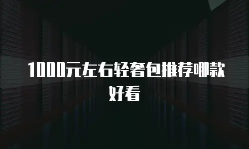 1000元左右轻奢包推荐哪款好看