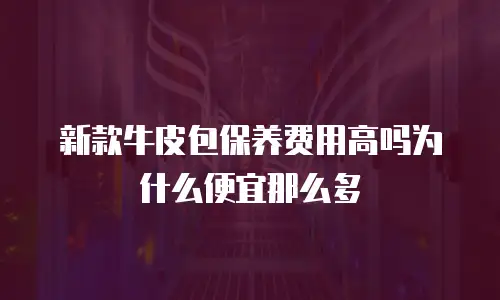 新款牛皮包保养费用高吗为什么便宜那么多