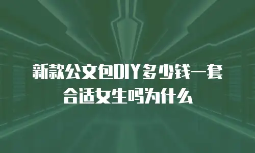新款公文包DIY多少钱一套合适女生吗为什么