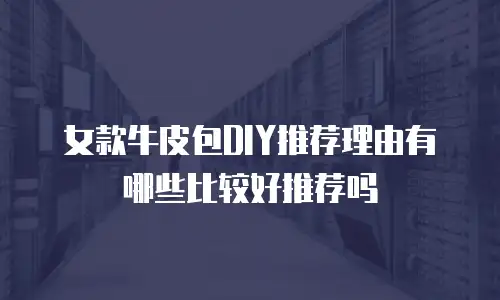 女款牛皮包DIY推荐理由有哪些比较好推荐吗