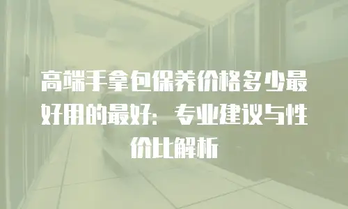 高端手拿包保养价格多少最好用的最好：专业建议与性价比解析