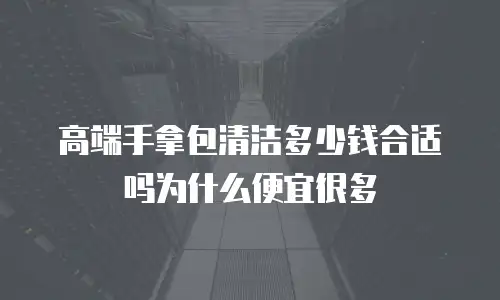 高端手拿包清洁多少钱合适吗为什么便宜很多