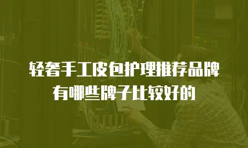 轻奢手工皮包护理推荐品牌有哪些牌子比较好的