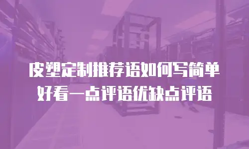 皮塑定制推荐语如何写简单好看一点评语优缺点评语