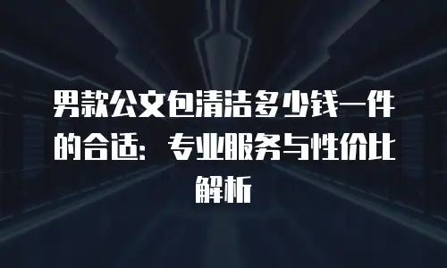男款公文包清洁多少钱一件的合适：专业服务与性价比解析