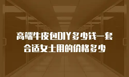 高端牛皮包DIY多少钱一套合适女士用的价格多少