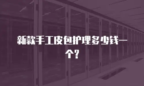 新款手工皮包护理多少钱一个?