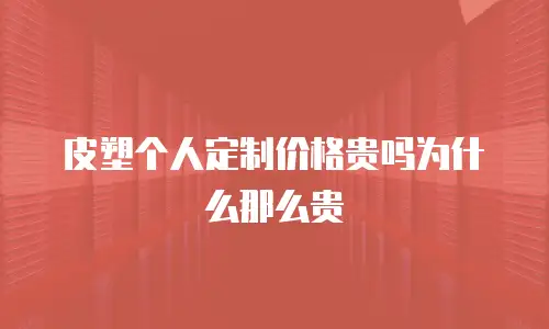 皮塑个人定制价格贵吗为什么那么贵