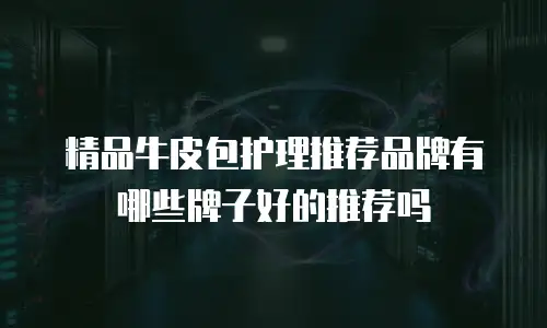 精品牛皮包护理推荐品牌有哪些牌子好的推荐吗