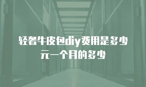 轻奢牛皮包diy费用是多少元一个月的多少