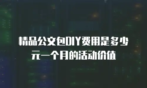 精品公文包DIY费用是多少元一个月的活动价值