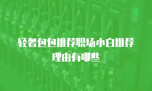轻奢包包推荐职场小白推荐理由有哪些