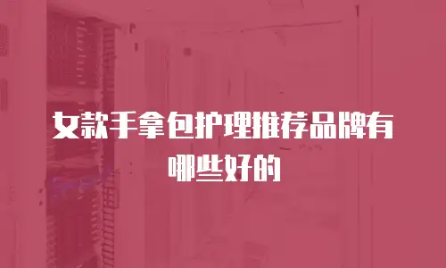 女款手拿包护理推荐品牌有哪些好的