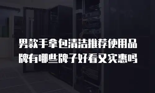 男款手拿包清洁推荐使用品牌有哪些牌子好看又实惠吗