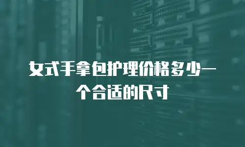 女式手拿包护理价格多少一个合适的尺寸