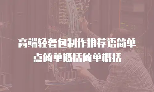 高端轻奢包制作推荐语简单点简单概括简单概括