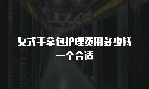 女式手拿包护理费用多少钱一个合适
