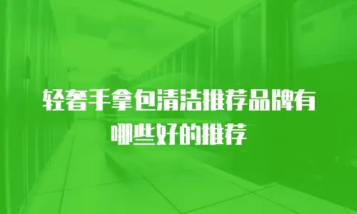 轻奢手拿包清洁推荐品牌有哪些好的推荐