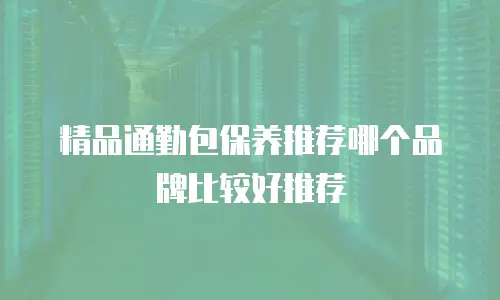 精品通勤包保养推荐哪个品牌比较好推荐