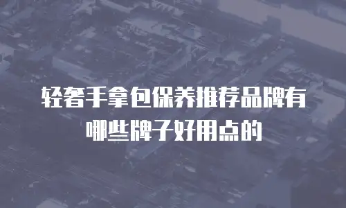 轻奢手拿包保养推荐品牌有哪些牌子好用点的