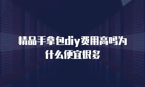 精品手拿包diy费用高吗为什么便宜很多