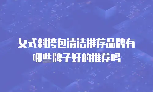 女式斜挎包清洁推荐品牌有哪些牌子好的推荐吗
