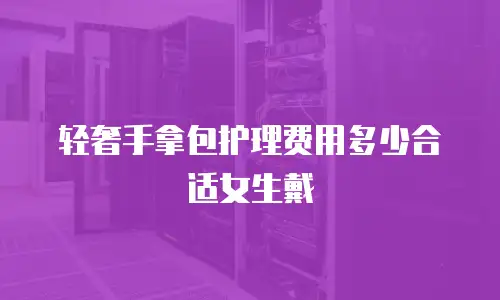 轻奢手拿包护理费用多少合适女生戴