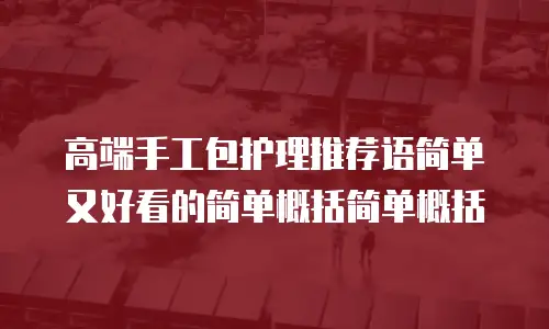 高端手工包护理推荐语简单又好看的简单概括简单概括