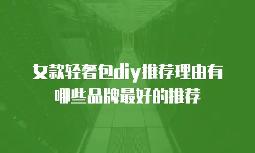 女款轻奢包diy推荐理由有哪些品牌最好的推荐
