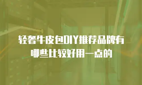 轻奢牛皮包DIY推荐品牌有哪些比较好用一点的