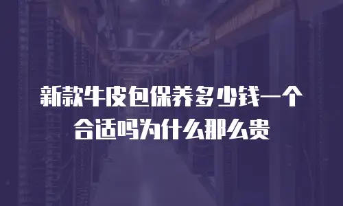 新款牛皮包保养多少钱一个合适吗为什么那么贵
