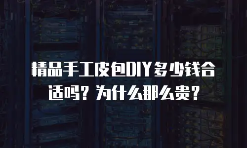 精品手工皮包DIY多少钱合适吗？为什么那么贵？
